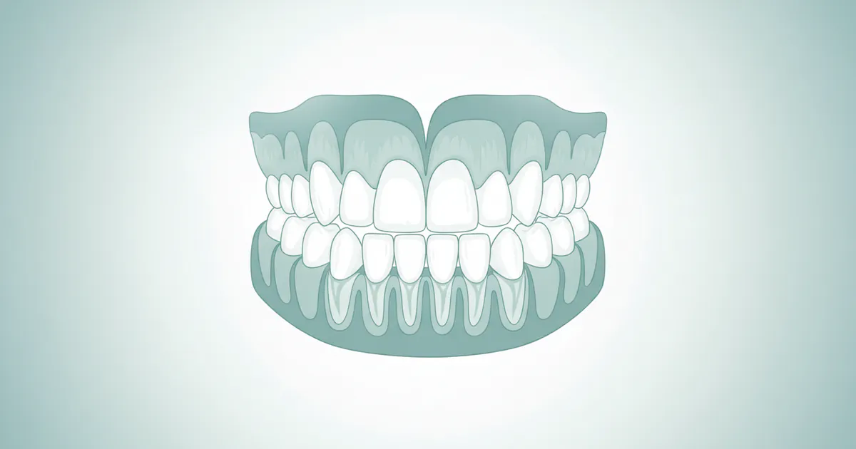 All Types of Teeth: Complete Guide