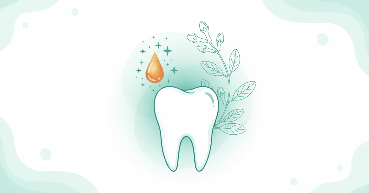 Clove Oil for Toothache: Complete Guide