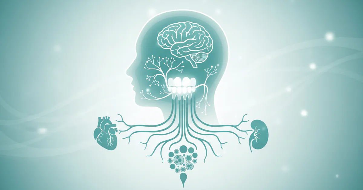 Complete Guide to Oral-Systemic Health: Everything You Need to Know