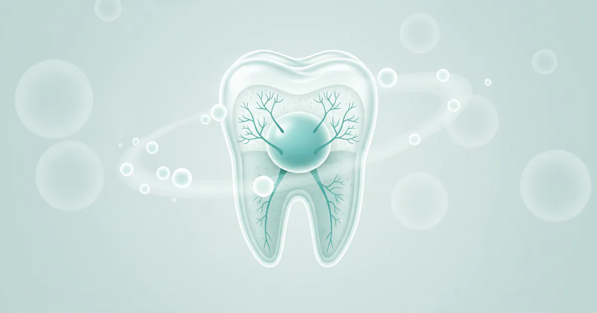 Do Teeth Have Calcium