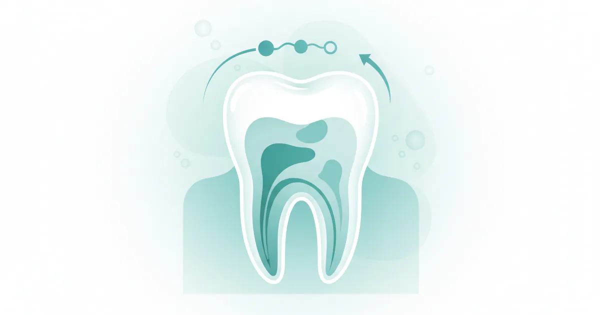 How Long Does Root Canal Take