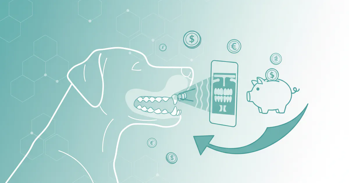 How Much Does a Dog Xray Cost