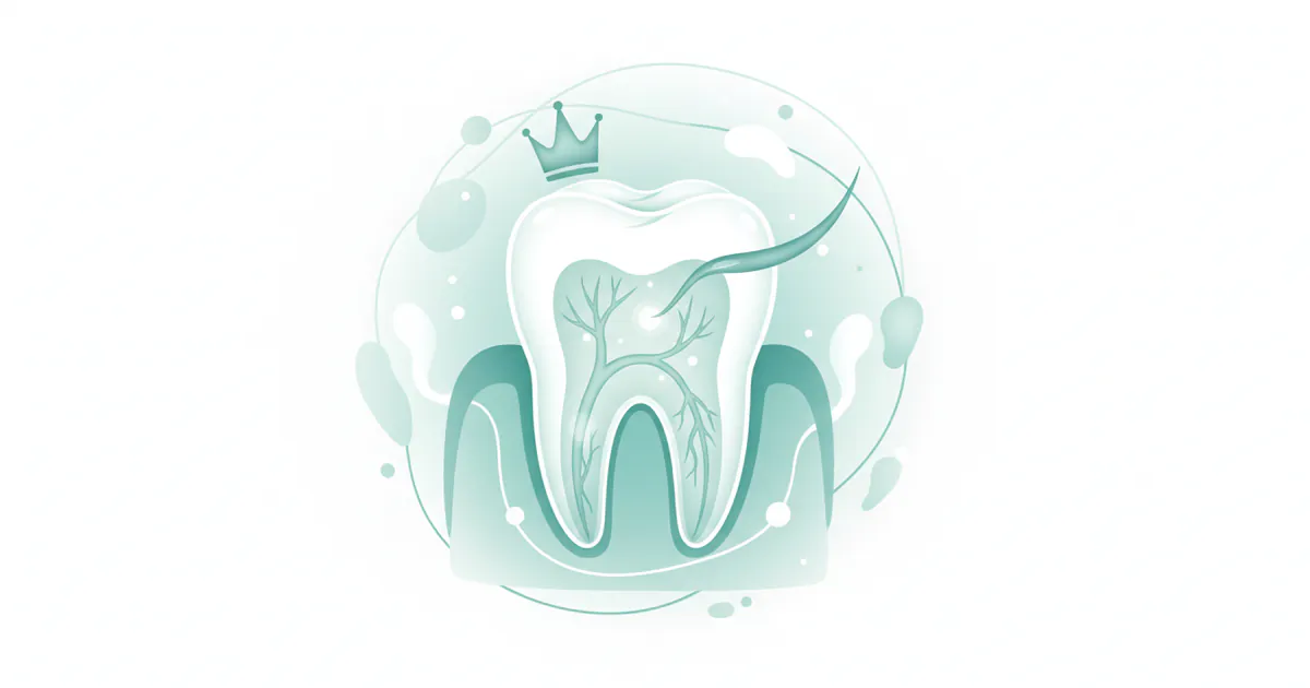 How Much Is a Root Canal