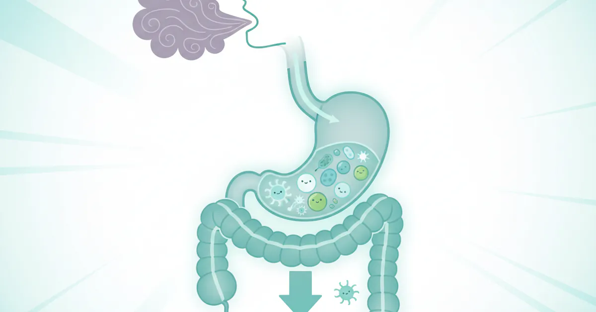 How to Eliminate Bad Breath From Stomach