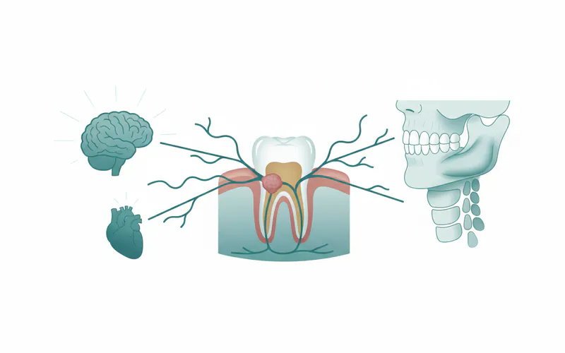 Illustration related to Frequently Asked Questions