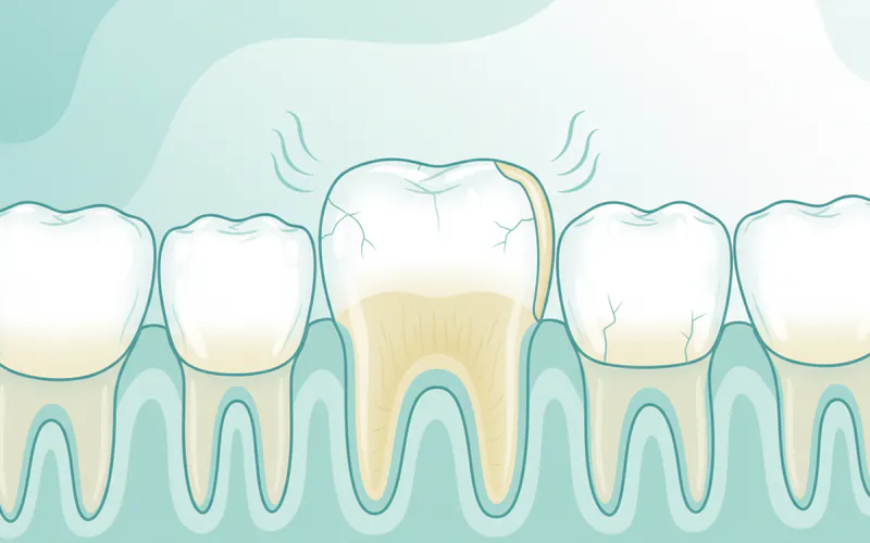 Illustration related to Frequently Asked Questions