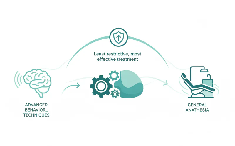 Illustration related to Treatment Options in Special Needs Dentistry