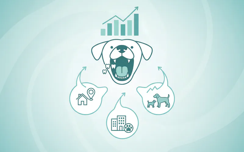 Illustration related to Average US Costs for Canine Dental Procedures