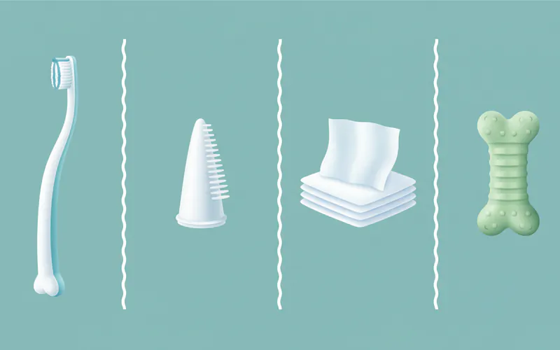 A infographic comparing different home dental care tools for dogs: a standard dog toothbrush, a finger brush, dental wipes, and a VOHC-approved dental chew.
