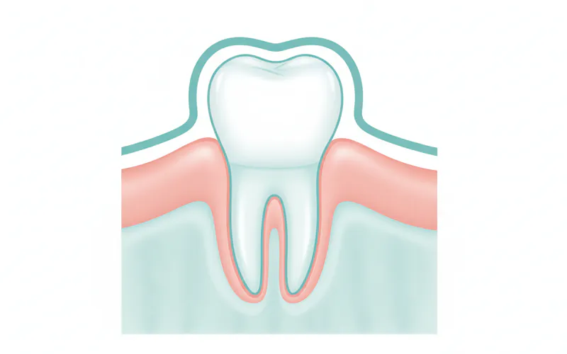 Illustration related to What It Is / Overview