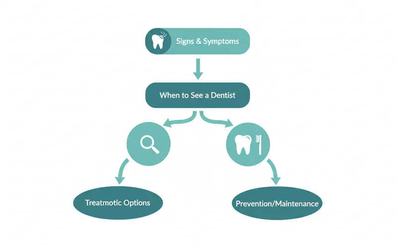 A flowchart or infographic detailing the decision process: "Signs & Symptoms" leading to "When to See a Dentist," then "Diagnostic Evaluation," and finally "Treatment Options" or "Prevention/Maintenance."