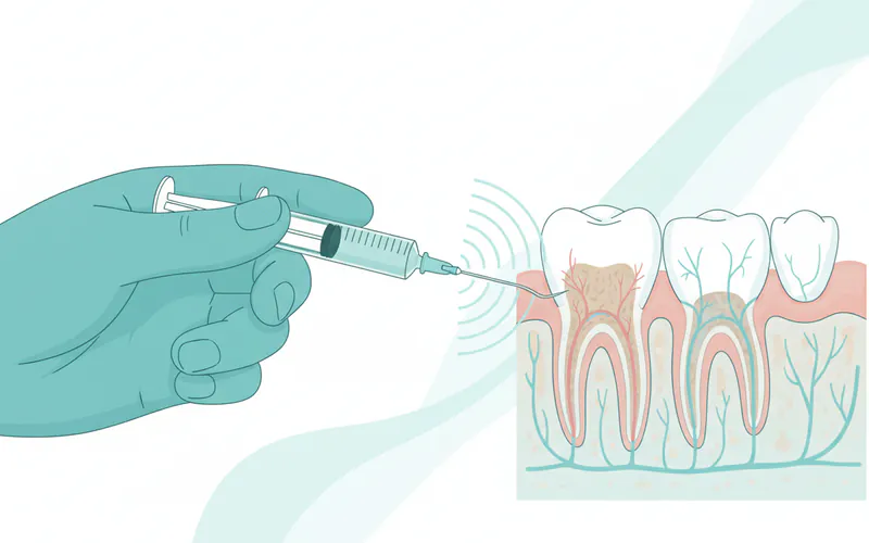 Illustration related to Step-by-Step: What to Expect During Treatment