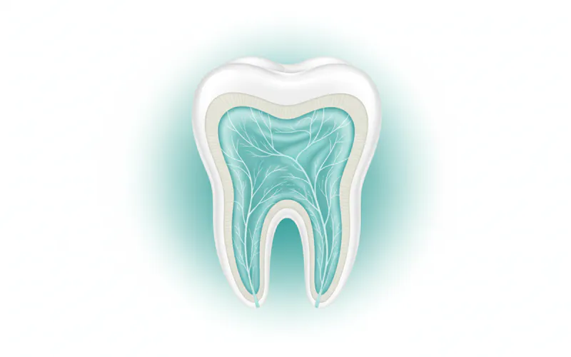 Illustration related to Pulp