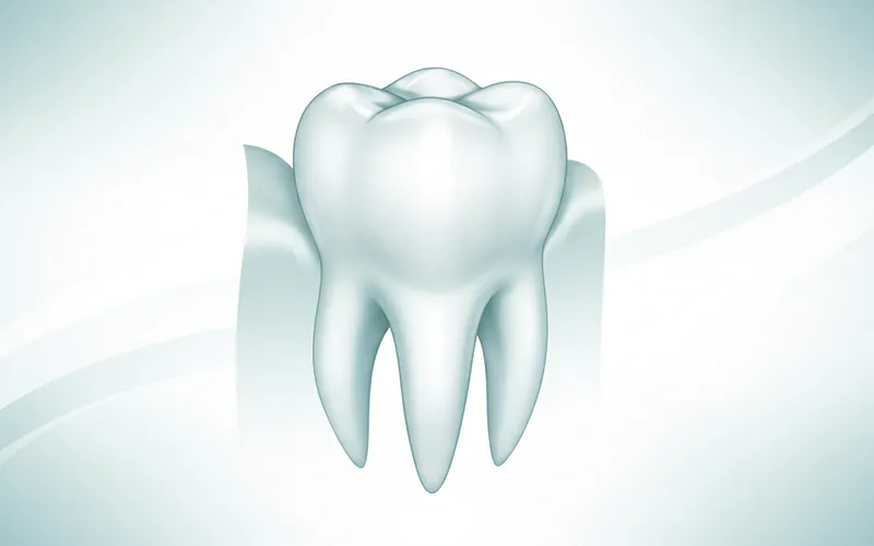 Illustration related to Introduction