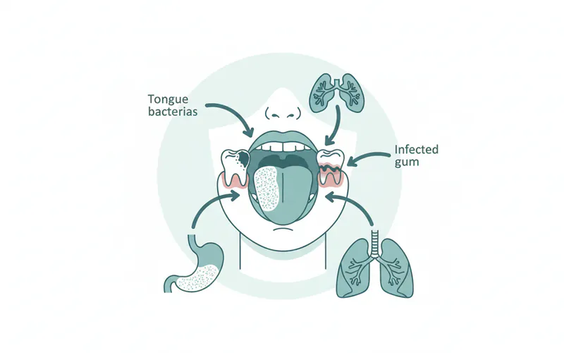 A diagram showing various sources of bad breath within the mouth (tongue coating, decaying tooth, gum infection) and arrows pointing to systemic sources (stomach, sinuses, lungs), illustrating the different origins of halitosis.