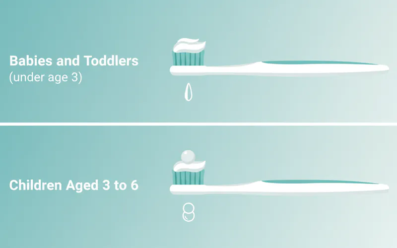 Illustration related to How much toothpaste should I use for my baby or toddler?