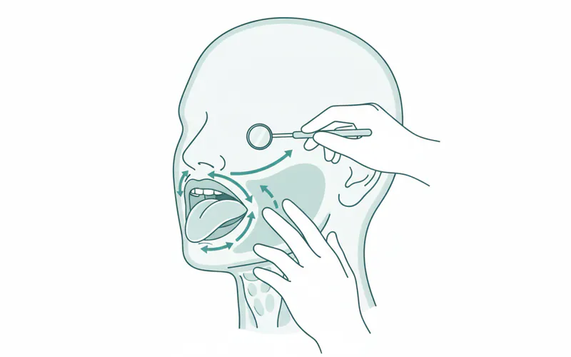 A diagram illustrating the process of an oral cancer screening by a dental professional, showing the areas being examined in the mouth and neck.