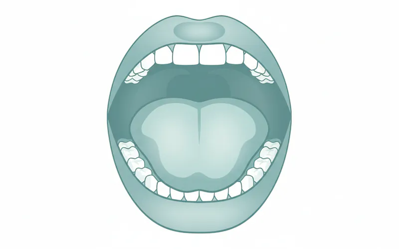 Illustration showing various anatomical locations where oral cancer can occur, such as the tongue, floor of mouth, gums, lips, and hard/soft palate, with small labels pointing to each area.