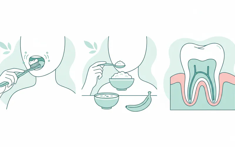 A series of illustrations showing ideal post-root canal recovery, including a person gently brushing, eating soft food, and a diagram of a healthy crowned tooth.