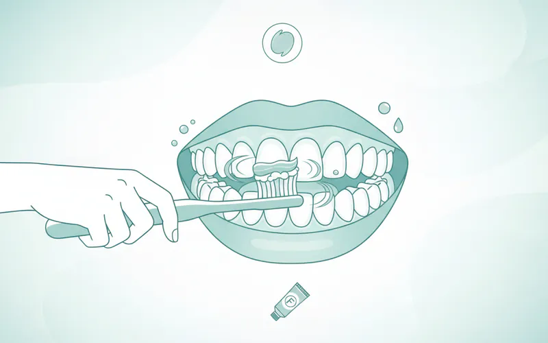 Illustration related to Long-Term Aftercare and Maintenance: