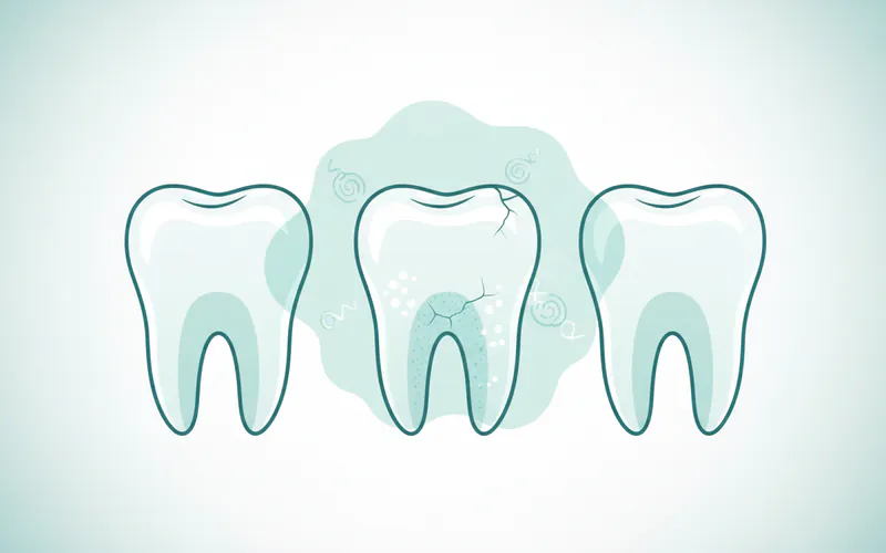 Illustration related to 6. Genetics and Tooth Anatomy