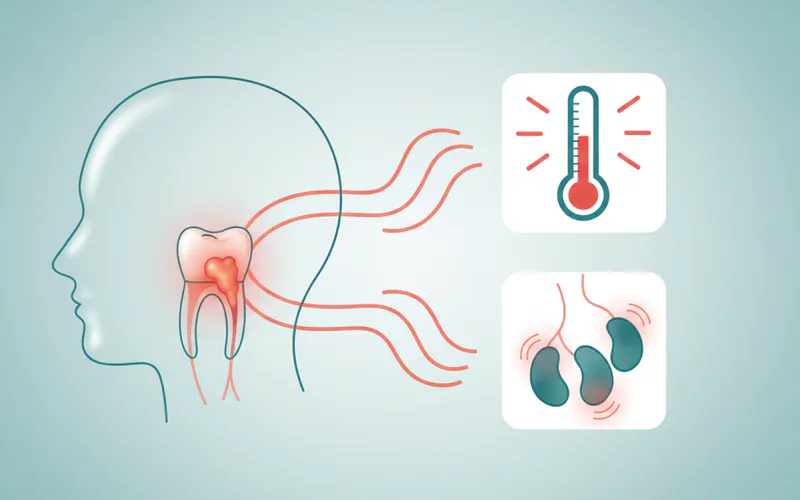 Illustration related to More Severe Symptoms (Indicating Spread of Infection):