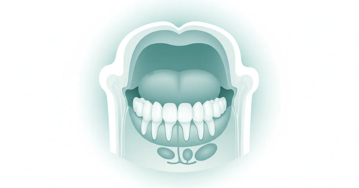 Oral Cavity: Complete Guide