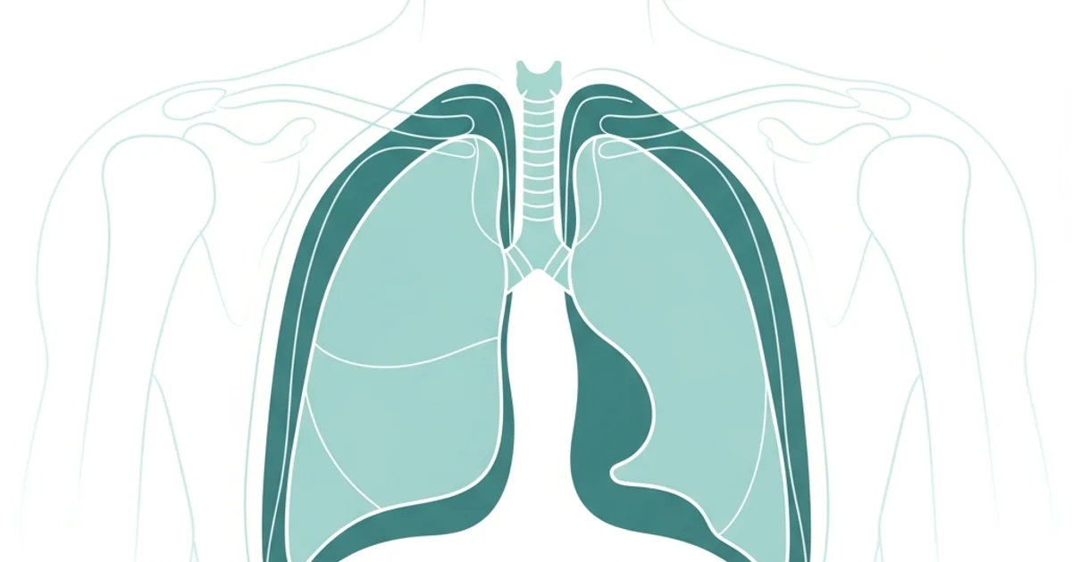 Pleural Cavity: Complete Guide
