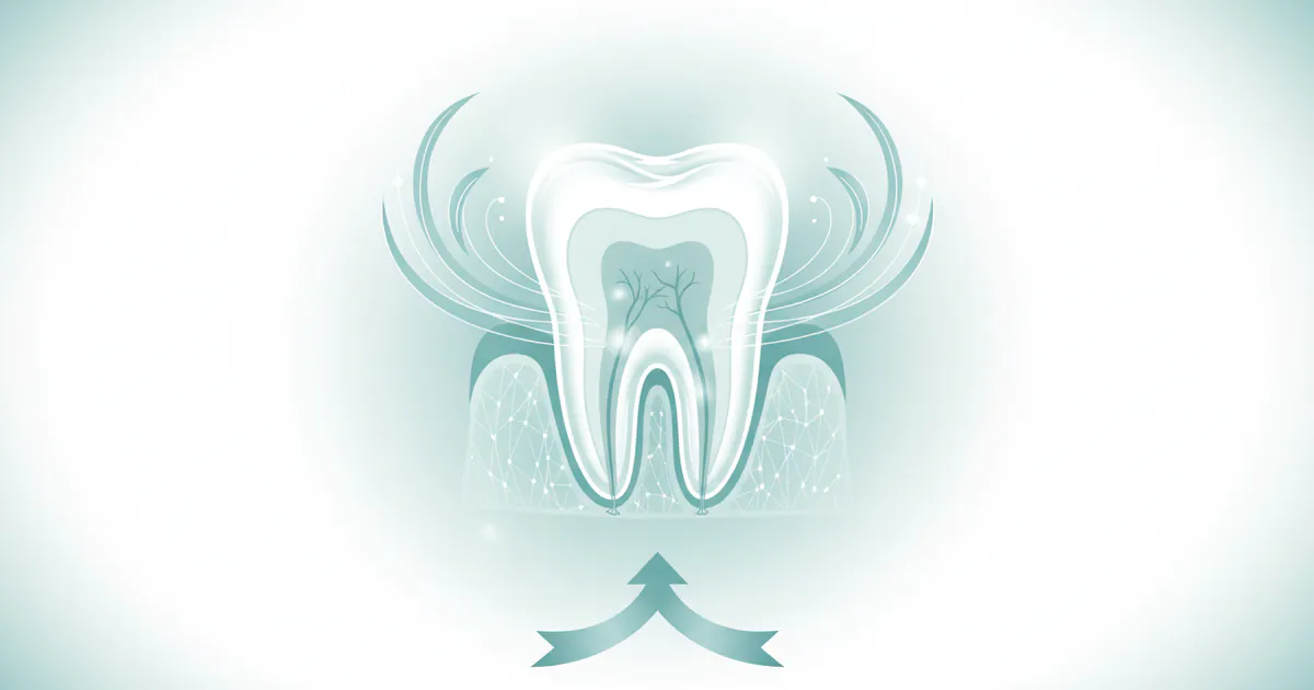 Root Canal Recovery: Complete Guide